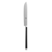 MARCHESI Steak KN 238mm
