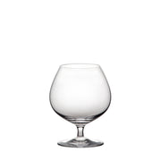 Platina 14oz Brandy