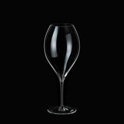 C'est si bon 21oz Vintage Champagne