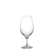 Piccolo 12oz Wine Glass (Set of 6 glasses) Machine-made