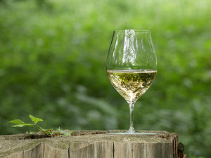 Wine Glass To Bring Along During A Trip