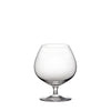 Platina 14oz Brandy