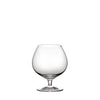 Platina 10oz Brandy