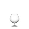 Platina 8oz Brandy