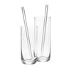 GLASS STRAW clear (1set contains 6 pieces)