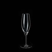 Garçon 6oz Champagne - Kimura Glass Asia
