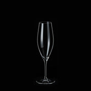 Garçon 7oz Champagne - Kimura Glass Asia